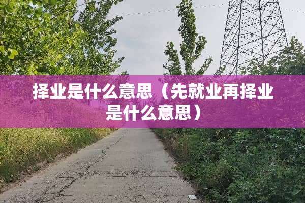 择业是什么意思（先就业再择业是什么意思）