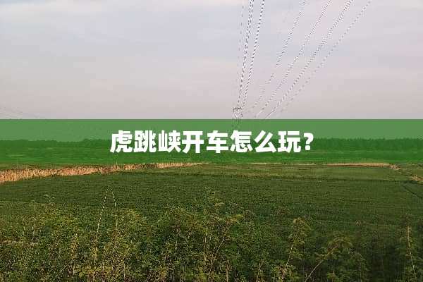 虎跳峡开车怎么玩？