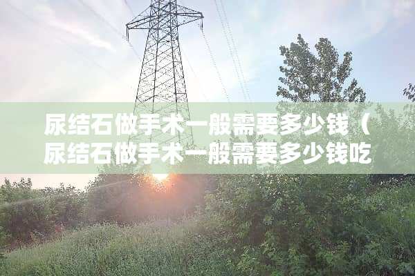 尿结石做手术一般需要多少钱（尿结石做手术一般需要多少钱吃那些食物）