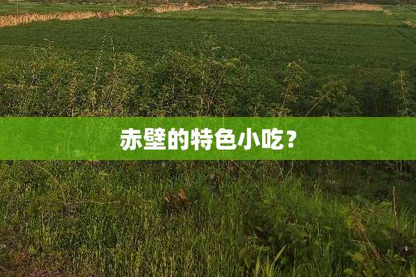 赤壁的特色小吃？