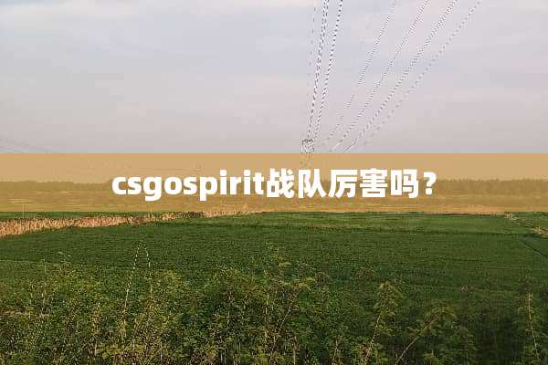 csgospirit战队厉害吗？