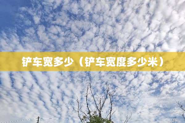 铲车宽多少（铲车宽度多少米）