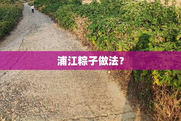 浦江粽子做法？