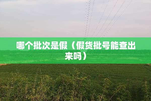 哪个批次是假（假货批号能查出来吗）
