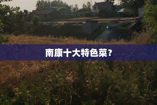 南康十大特色菜？