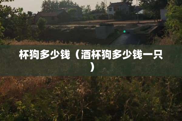 杯狗多少钱（酒杯狗多少钱一只）