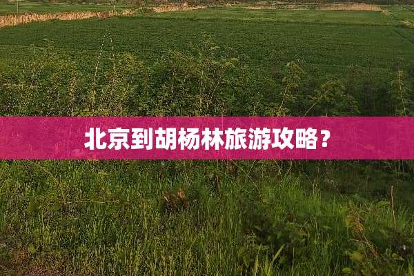 北京到胡杨林旅游攻略？