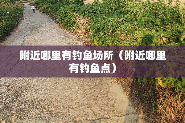 附近哪里有钓鱼场所（附近哪里有钓鱼点）