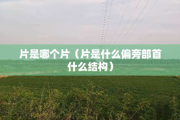 片是哪个片（片是什么偏旁部首什么结构）