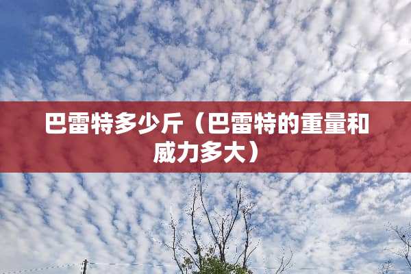 ***多少斤（***的重量和威力多大）
