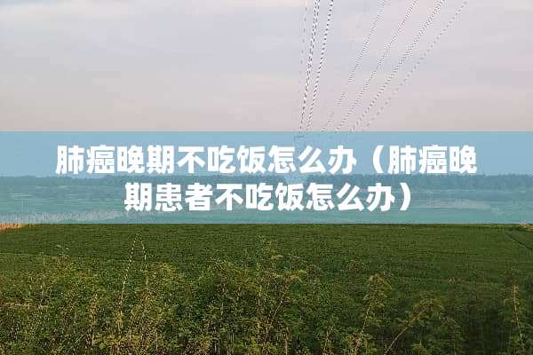 肺癌晚期不吃饭怎么办（肺癌晚期患者不吃饭怎么办）
