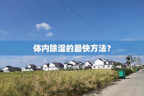 体内除湿的最快方法？