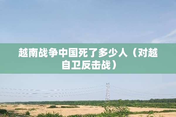 越南战争中国死了多少人（对越自卫反击战）