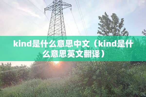 kind是什么意思中文（kind是什么意思英文翻译）
