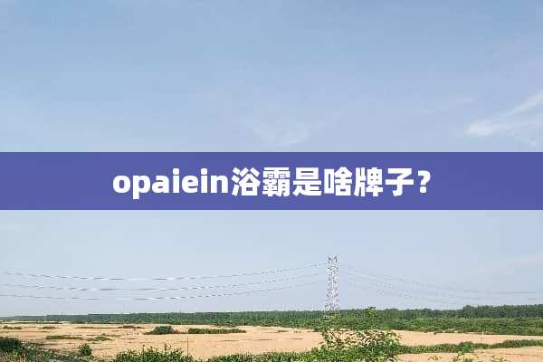 opaiein浴霸是啥牌子？