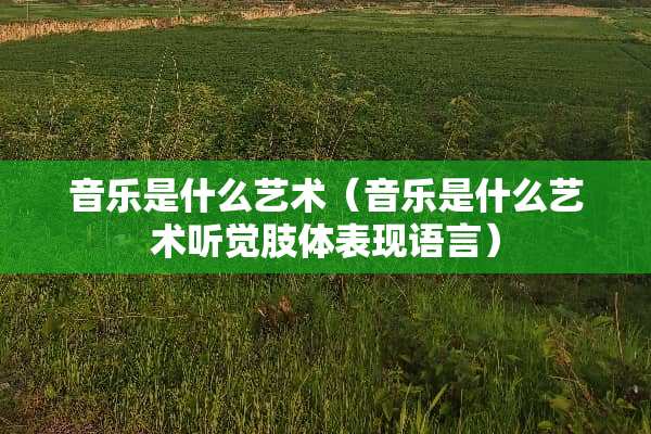 音乐是什么艺术（音乐是什么艺术听觉肢体表现语言）