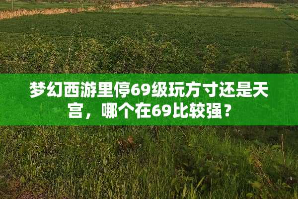 梦幻西游里停69级玩方寸还是天宫，哪个在69比较强？