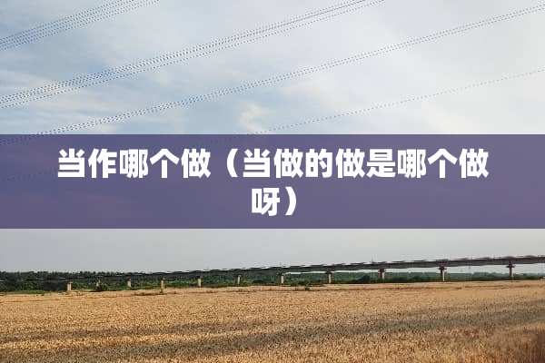 当作哪个做（当做的做是哪个做呀）