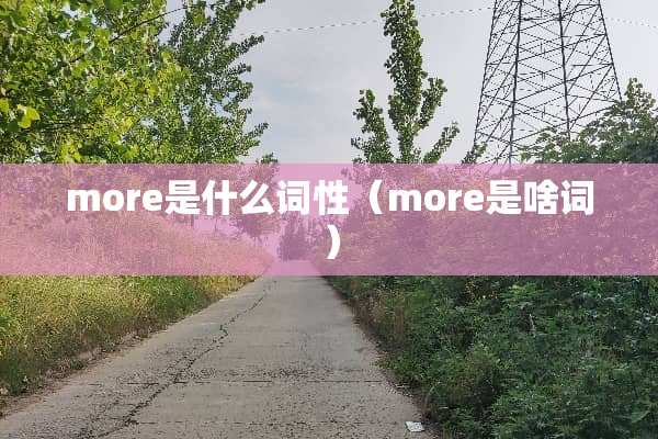 more是什么词性（more是啥词）
