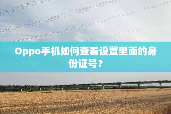 Oppo手机如何查看设置里面的***号？