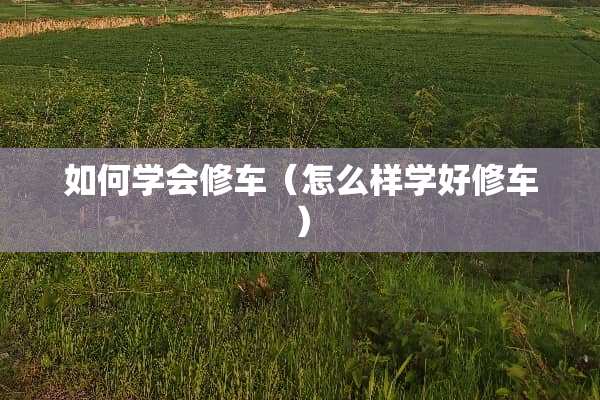 如何学会修车（怎么样学好修车）