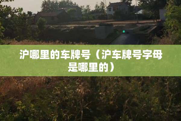 沪哪里的***（沪***字母是哪里的）