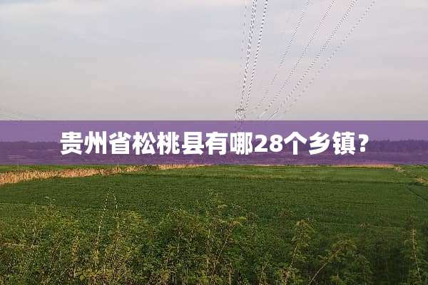 贵州省松桃县有哪28个乡镇？