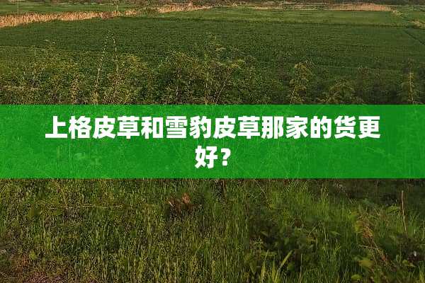 上格皮草和雪豹皮草那家的货更好？