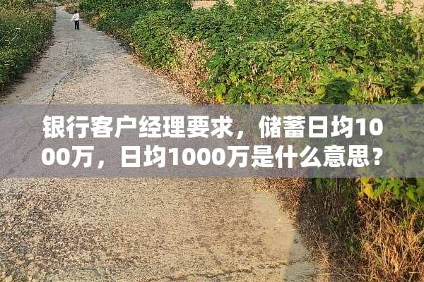 银行客户经理要求，储蓄日均1000万，日均1000万是什么意思？