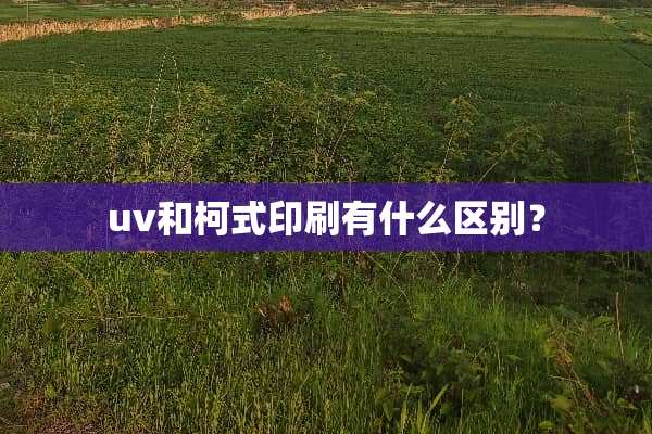 uv和柯式印刷有什么区别？