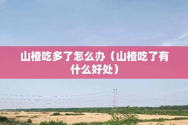 山楂吃多了怎么办（山楂吃了有什么好处）