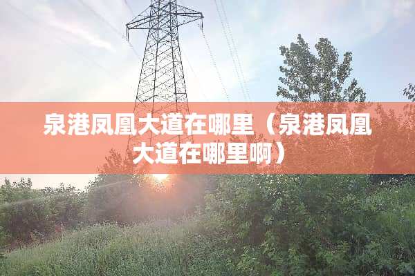 泉港凤凰大道在哪里（泉港凤凰大道在哪里啊）