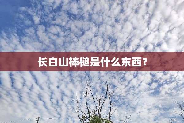 长白山棒槌是什么东西？