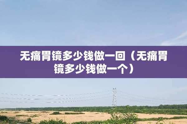 无痛胃镜多少钱做一回（无痛胃镜多少钱做一个）