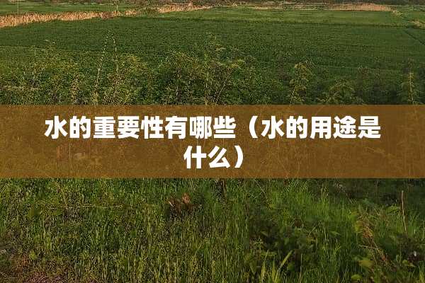 水的重要性有哪些（水的用途是什么）