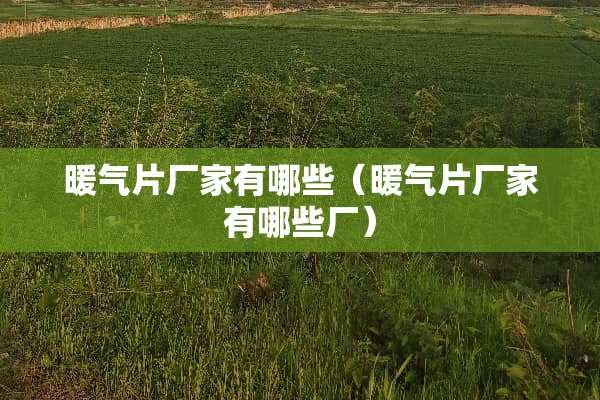 暖气片厂家有哪些（暖气片厂家有哪些厂）