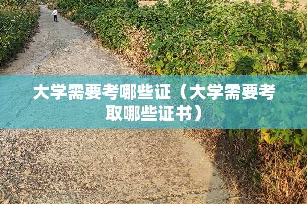 大学需要考哪些证（大学需要考取哪些证书）