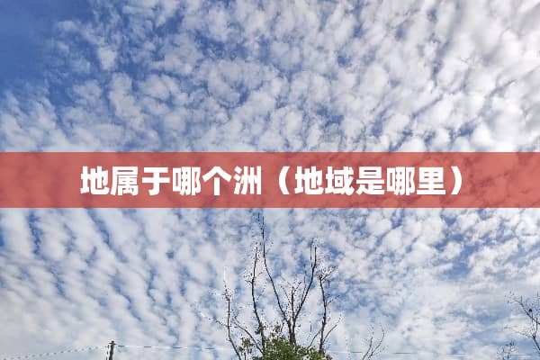 地属于哪个洲（地域是哪里）