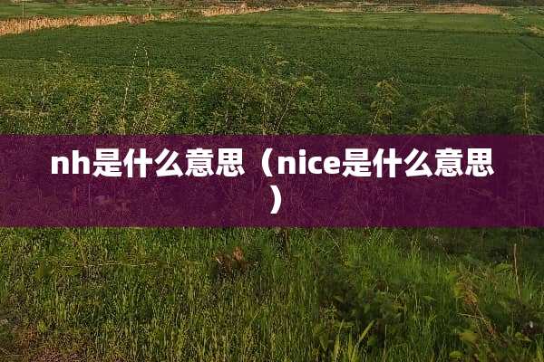 nh是什么意思（nice是什么意思）