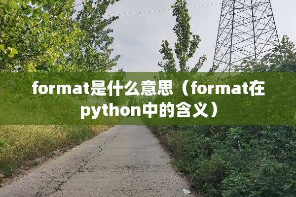 format是什么意思（format在python中的含义）