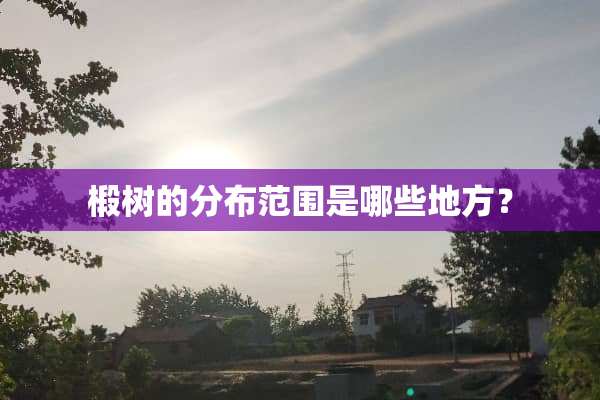 椴树的分布范围是哪些地方？