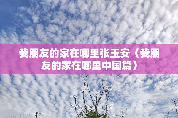 我朋友的家在哪里张玉安（我朋友的家在哪里中国篇）