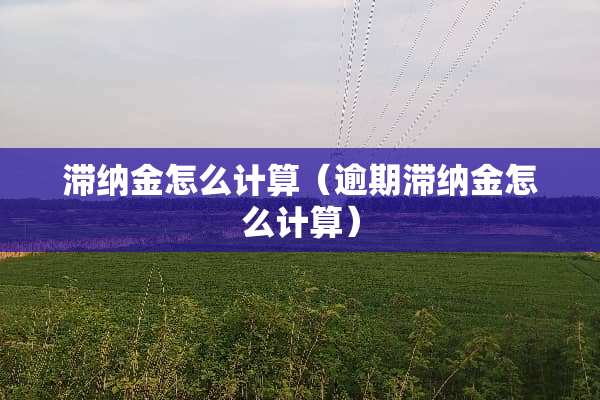 滞纳金怎么计算（逾期滞纳金怎么计算）