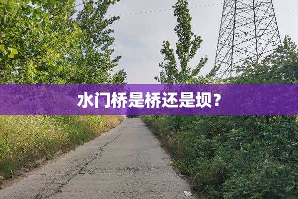 水门桥是桥还是坝？