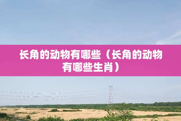 长角的动物有哪些（长角的动物有哪些生肖）