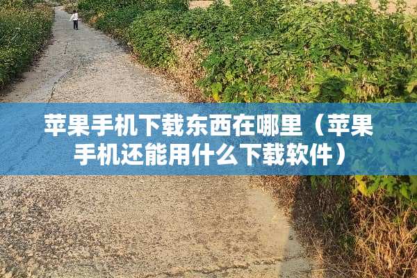 苹果手机下载东西在哪里（苹果手机还能用什么下载软件）