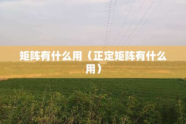 矩阵有什么用（正定矩阵有什么用）