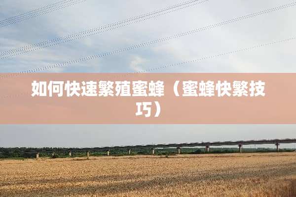 如何快速繁殖蜜蜂（蜜蜂快繁技巧）