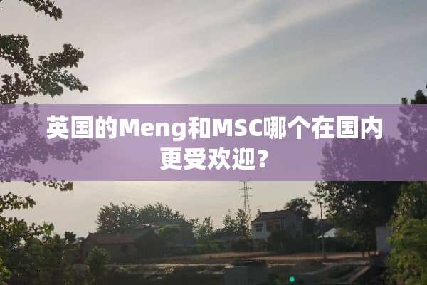 英国的Meng和MSC哪个在国内更受欢迎？