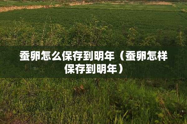 蚕卵怎么保存到明年（蚕卵怎样保存到明年）